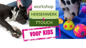 KIDS workshop TTouch & Hersenwerk